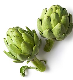 Artichokes Globe