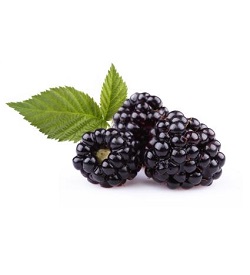 Berries Black