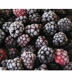 Frozen Blackberries